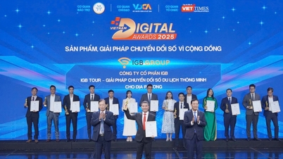 IGB Group bei den Vietnam Digital Transformation Awards 2025 ausgezeichnet