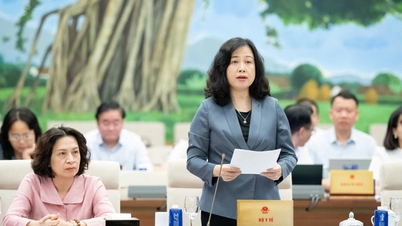 태아 성별 공개한 의사 업무 정지 제안