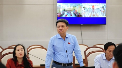 គណៈប្រតិភូនៃគណៈកម្មាធិការវិទ្យាសាស្ត្រ បច្ចេកវិទ្យា និងបរិស្ថានបានធ្វើការជាមួយគណៈកម្មាធិការប្រជាជនខេត្ត Quang Ninh