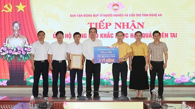 Petrolimex Nghe An은 10호 폭풍(Bualoi)의 여파를 극복하기 위해 20억 VND 이상을 기부했습니다.