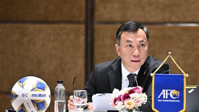 Việt Nam thêm đại diện ngồi 'ghế nóng' ở FIFA