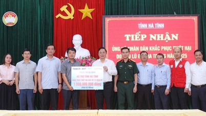 Da Nang supports Quang Tri and Ha Tinh provinces to overcome damage caused by storm No. 10