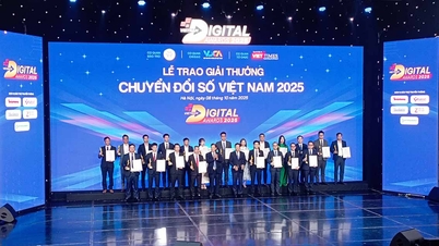 Vietnam Digital Awards 2025: ยกย่ององค์กรและบุคคลที่โดดเด่น 52 แห่ง