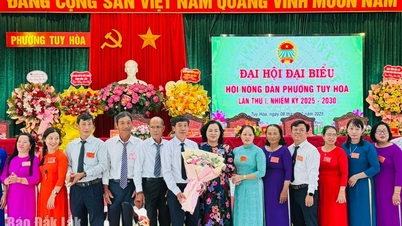 Đổi mới phương thức hoạt động, nâng cao năng lực cán bộ Hội Nông dân
