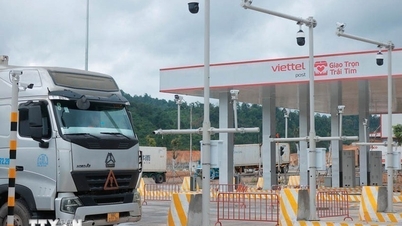 Implementatie van '5 pushes' om logistiek in een groene, digitale en duurzame richting te ontwikkelen