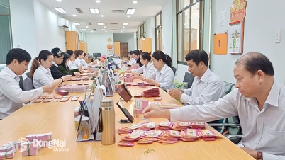 동나이 복권: 지속 가능한 발전과 지역 사회를 위한 경쟁의 여정