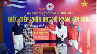 Hội Chữ thập đỏ tỉnh tiếp nhận hơn 555 triệu đồng ủng hộ nhân dân Cuba