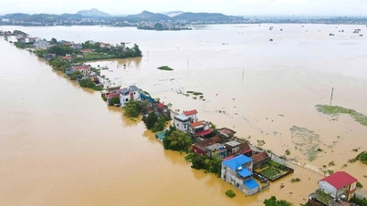 Chống tràn khẩn cấp tuyến đê Hà Châu