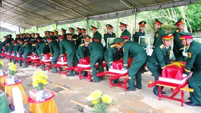Quang Tri: Entdeckte und sammelte die Überreste von 29 Märtyrern und viele Reliquien