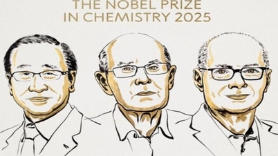 Premiul Nobel pentru Chimie din 2025 deschide era materialelor personalizate