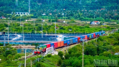 政府は投資法を完成させ、国営鉄道システムの発展のための法的根拠を確立するよう指示した。