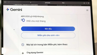 Google、ベトナムの学生に約600万ドン相当のAIパッケージを配布開始
