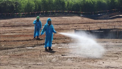 Vietnam a Belgie spojily síly pro životní prostředí bez reziduí dioxinů