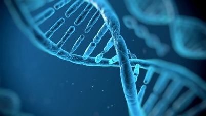 인간의 '외계 DNA' 가설에 대한 논쟁