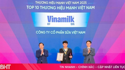 Vinamilk Top 10 Thương hiệu Mạnh Việt Nam 2025