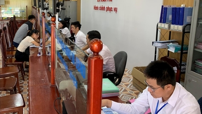 Dữ liệu cán bộ, công chức, viên chức thành phố Hải Phòng bảo đảm tính cập nhật, chính xác