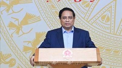 Hội nghị triển khai Chương trình mục tiêu quốc gia phòng, chống ma túy đến năm 2030
