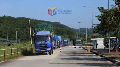Der Import und Export von Waren über Km3+4 Hai Yen Opening stieg im gleichen Zeitraum um mehr als 46 %.