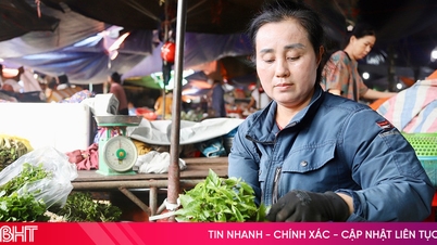 Wie schwankte der Preis für grünes Gemüse in Ha Tinh nach dem Sturm und der Überschwemmung?