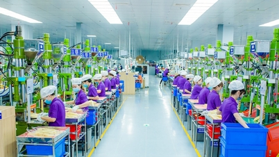 Nghe An exportierte in den ersten neun Monaten des Jahres 2025 fast 3,3 Milliarden USD in 145 Länder und Gebiete.