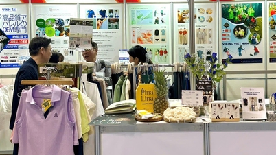 8,000 T-shirts from pandan leaf fabric successfully produced in Vietnam