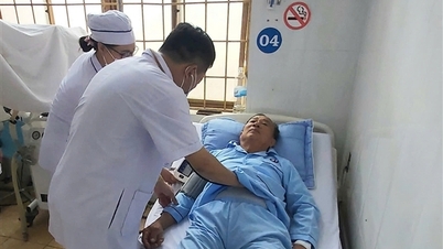 Il a amené le serpent venimeux qui l'a mordu aux urgences