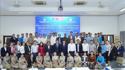 Vietnam - Laos strengthen cooperation to improve education quality
