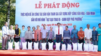 TP. Hồ Chí Minh: Phường Dĩ An thực hiện mô hình "Hạt gạo trao tay - xanh đẹp phố phường"