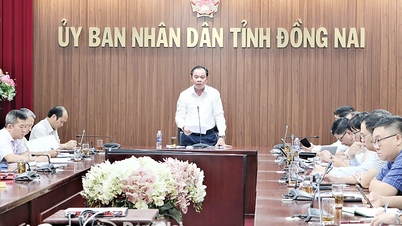 Approving the master plan for Bien Hoa, Trang Bom, Long Thanh, Nhon Trach urban areas in December 2025