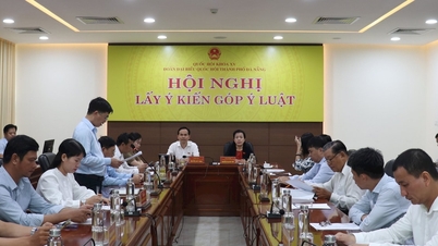 Đoàn ĐBQH TP. Đà Nẵng lấy ý kiến góp ý dự thảo 3 dự án luật liên quan đến giáo dục, đào tạo