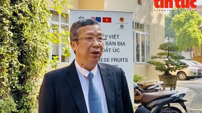 ក្រូចថ្លុង​វៀតណាម​ចូល​អូស្ត្រាលី​ជា​មូលដ្ឋាន​សំខាន់​ដើម្បី​ពង្រីក​ទីផ្សារ​នាំចេញ។