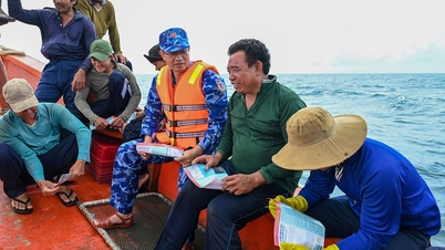 La Región 3 de la Guardia Costera completa un estudio y comprende la situación de los mares costeros y las islas.