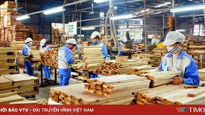 Ahşap endüstrisi iç pazarı fethetmeye yöneliyor