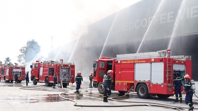 Prácticas de extinción de incendios y rescate en Sucden Coffee Vietnam Company