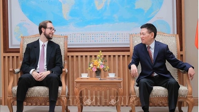 Deputy Prime Minister Ho Duc Phoc received leaders of Tether Group