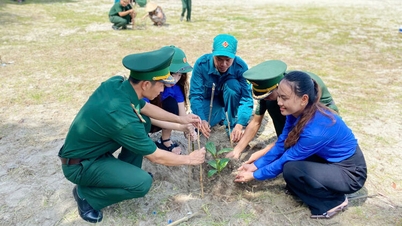 ปลูกต้นไทรทรงสี่เหลี่ยม 150 ต้น ที่ตำบลเกาะเทียนไห่