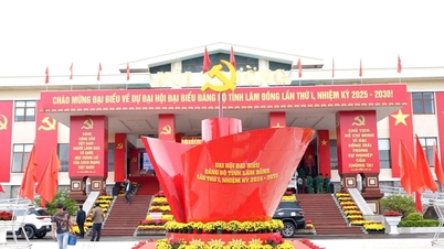 Lam Dong completes preparations for the 1st Provincial Party Congress