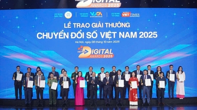 후에 기념물 보존 센터는 2025년 베트남 디지털 전환상에서 계속해서 영예를 얻었습니다.