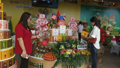 Küche mit einzigartigen Merkmalen der Stadt Hai Phong