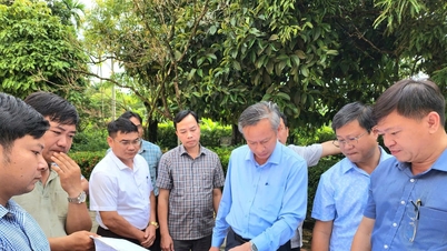 Đẩy nhanh tiến độ dự án phát huy giá trị di tích Nhà lưu niệm cụ Huỳnh Thúc Kháng