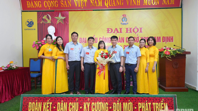 تسعى شركة X20 Nam Dinh Company Union إلى الحفاظ على لقب الشركة القوية والمتميزة