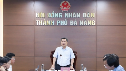 Sớm hoàn thành bản đồ ngập úng và kịch bản ứng phó với tình trạng ngập úng đô thị Đà Nẵng