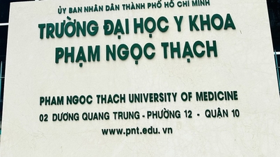 Warum hat die Pham Ngoc Thach University of Medicine die Punktzahl des Kandidaten Au Nhat Huy herabgestuft?