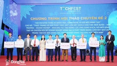 Vietnam Internet Center spendet 36.000 „.vn“-Domänennamen an Einheiten und Schulen in Dong Nai