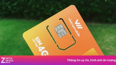 Vietnamobile обвиняется в «легкомыслии» и выступает с заявлением