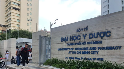ĐH Y Dược TPHCM chi 1 tỷ đồng cho đề tài khoa học “made in Vietnam”