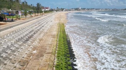Quang Ngai يتغلب على تآكل السواحل