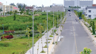 กานโธเปิดตัวแคมเปญปรับปรุงและทำความสะอาดฐานข้อมูลที่ดิน