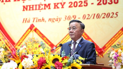 Genosse Tran Cam Tu nahm am 20. Parteitag der Provinz Ha Tinh teil und hielt eine Rede zur Leitung.