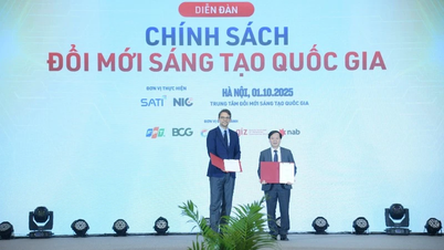 Germany supports the implementation of clean energy development and energy security projects in Vietnam